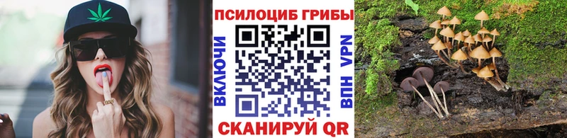 Галлюциногенные грибы Magic Shrooms  Курлово 