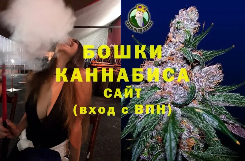 Бошки Шишки THC 21%  Курлово 